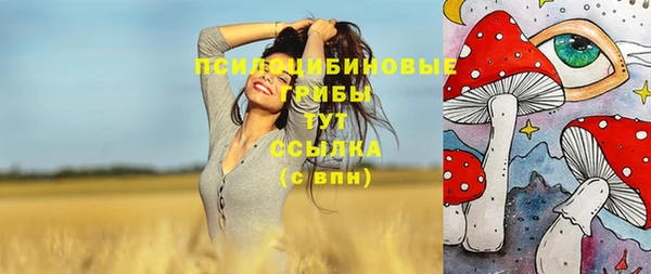герыч Протвино