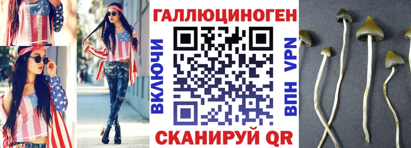 Галлюциногенные грибы Psilocybine cubensis  Сибай 