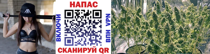 хочу   блэк спрут сайт  Бошки марихуана тримм  shop телеграм  Сибай 