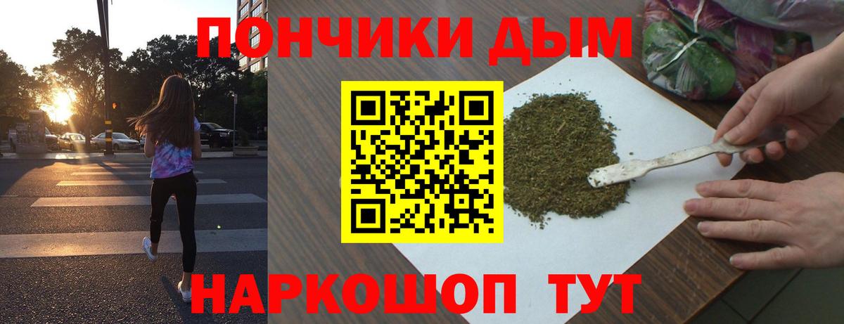 Каннабис OG Kush Сибай