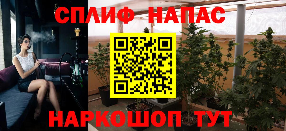 Шишки марихуана планчик  Сибай  Марихуана планчик 